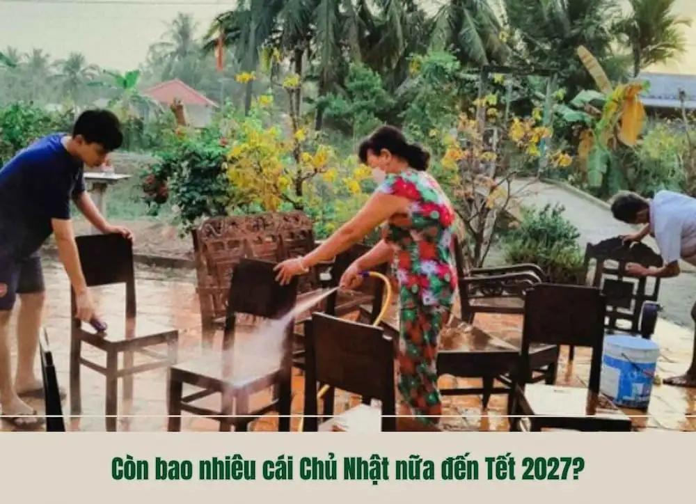 Còn bao nhiêu cái Chủ Nhật nữa đến Tết 2027?