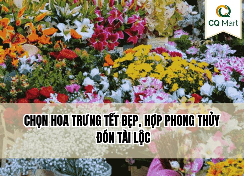 Chọn hoa trưng tết đẹp, hợp phong thủy đón tài lộc