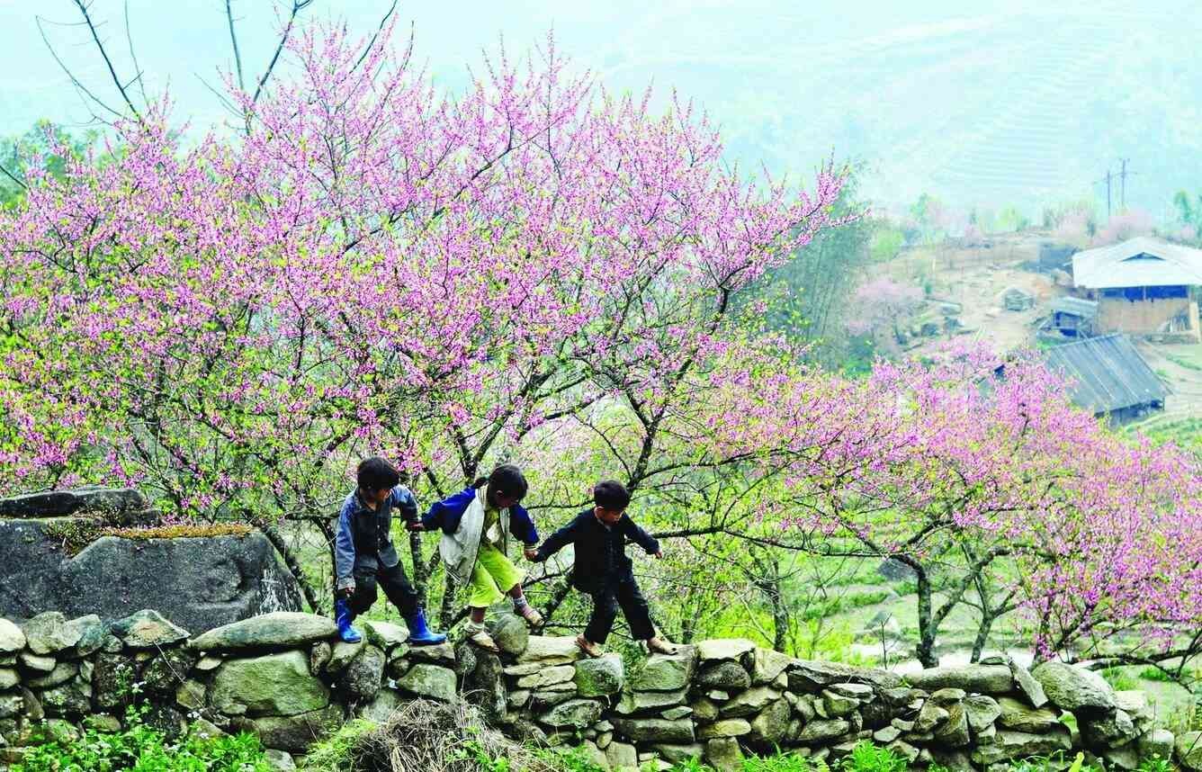 tet-nen-di-du-lich-o-dau-mien-bac