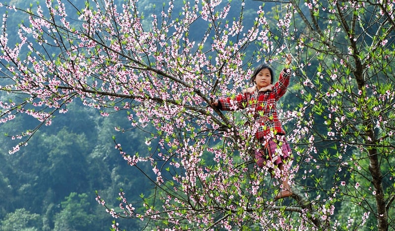 thang-gieng-du-lich-mien-bac